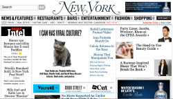 LOLCat cover image