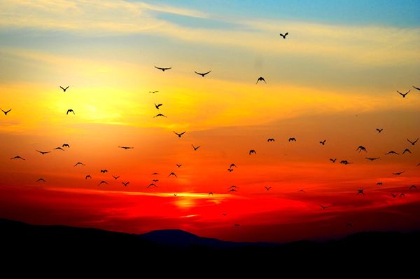 A Codeless Ecosystem, or hacking beyond vibe coding